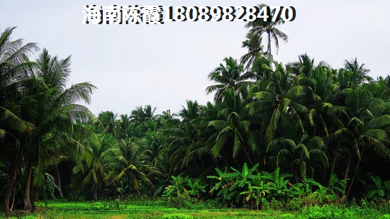 保亭優(yōu)質(zhì)樓盤推薦